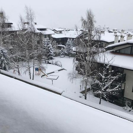Ioannis Apartment 班斯科 外观 照片