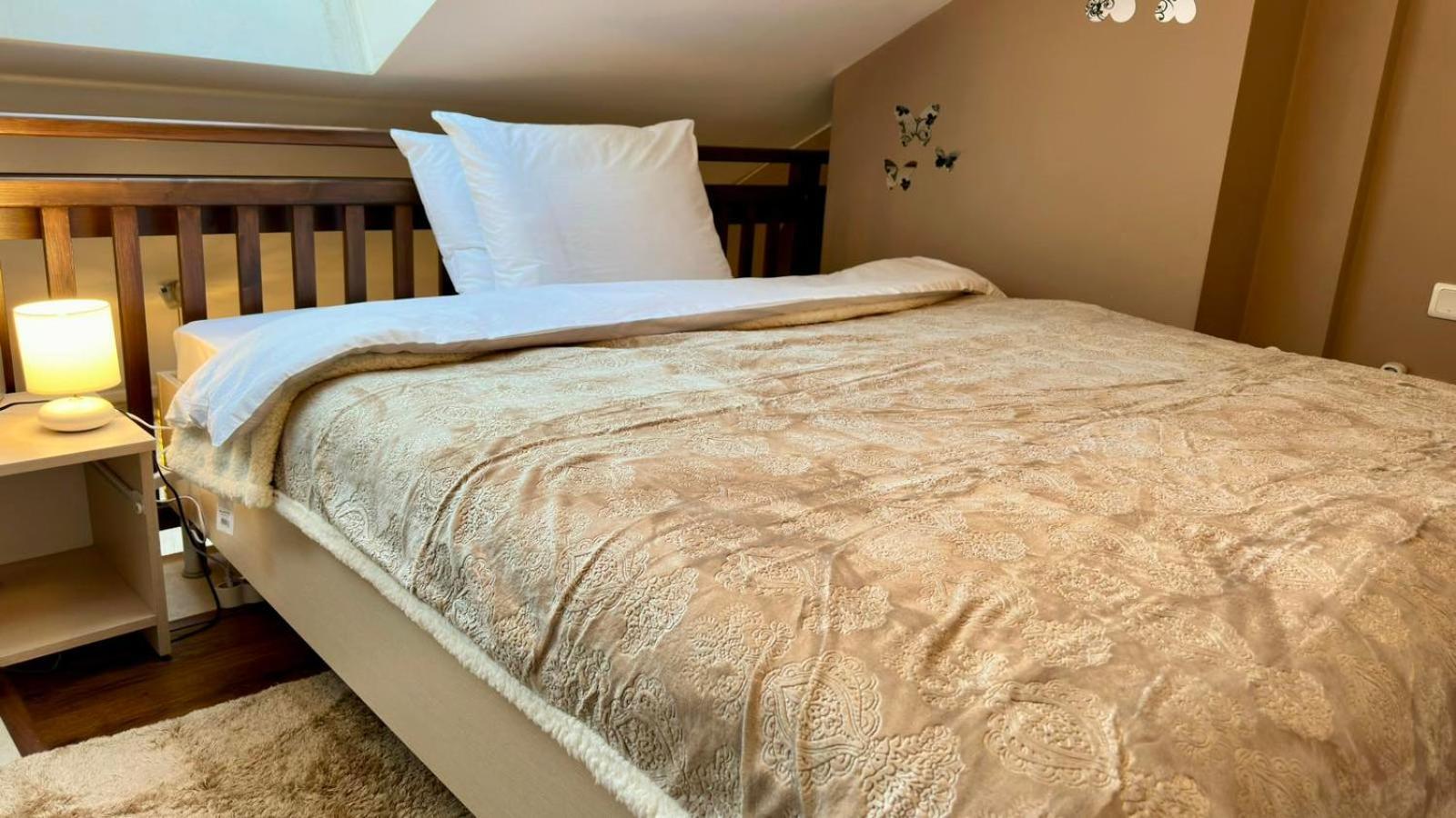 Ioannis Apartment 班斯科 外观 照片