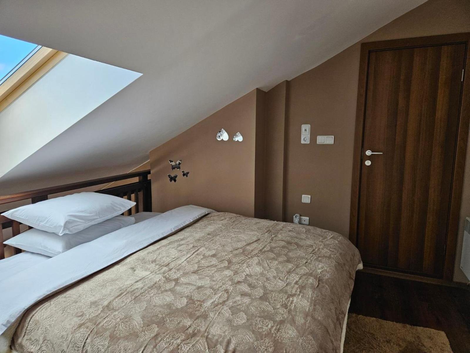 Ioannis Apartment 班斯科 外观 照片